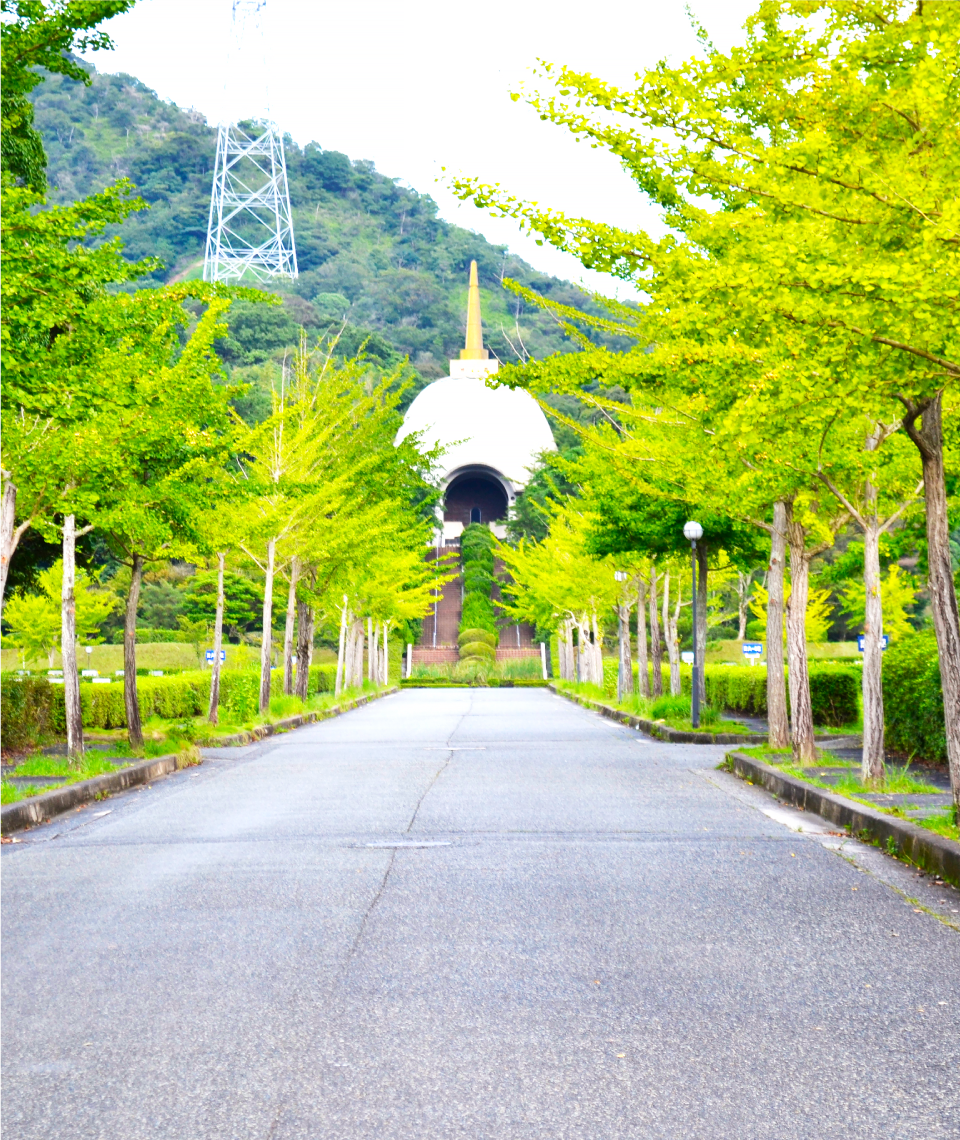 main01 | 公園管理共同事業体 三和土 | タタキ | 下関市都市公園管理 | 有限会社 浜田造園 | 有限会社 規周園 | 株式会社 造園 堀