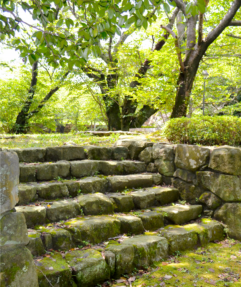 main01 | 公園管理共同事業体 三和土 | タタキ | 下関市都市公園管理 | 有限会社 浜田造園 | 有限会社 規周園 | 株式会社 造園 堀