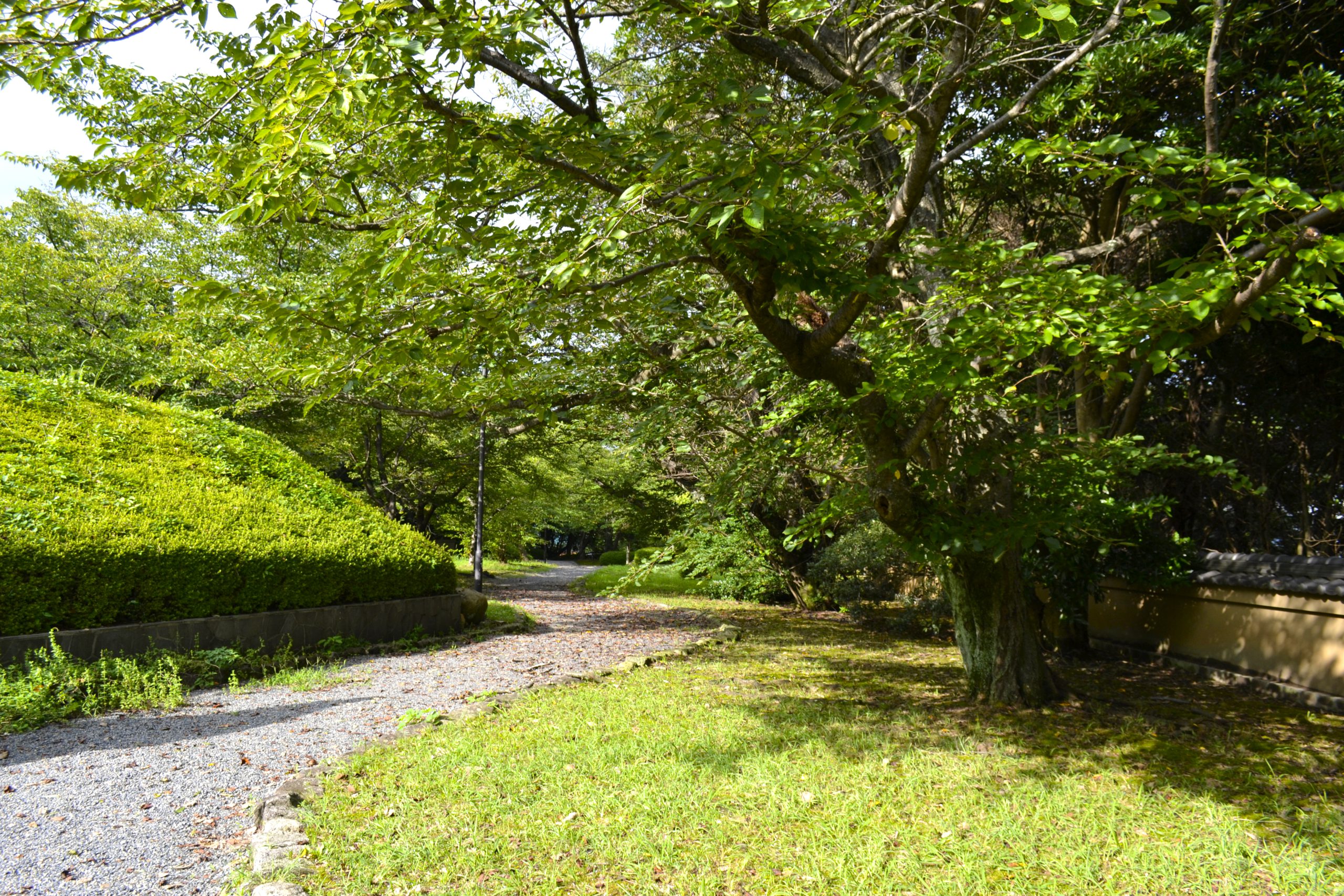 関見台公園 風景07