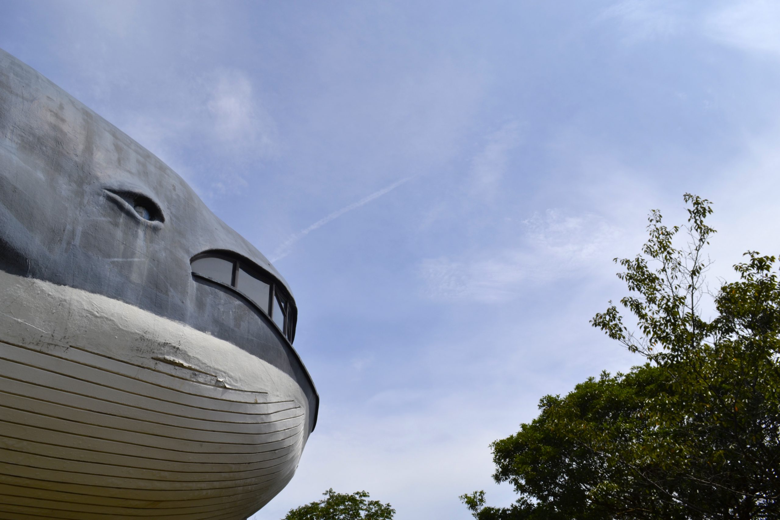 関見台公園 風景13