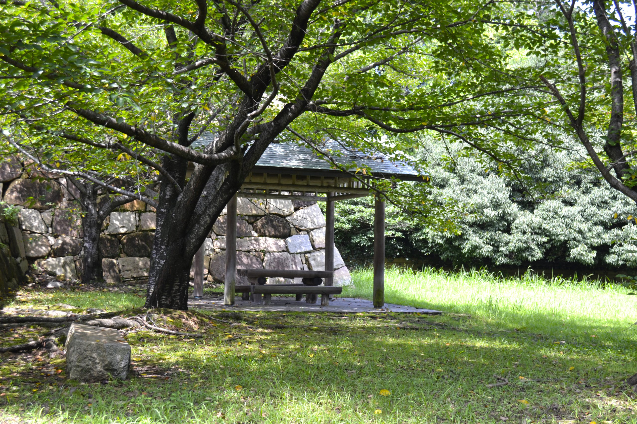 関見台公園 風景11