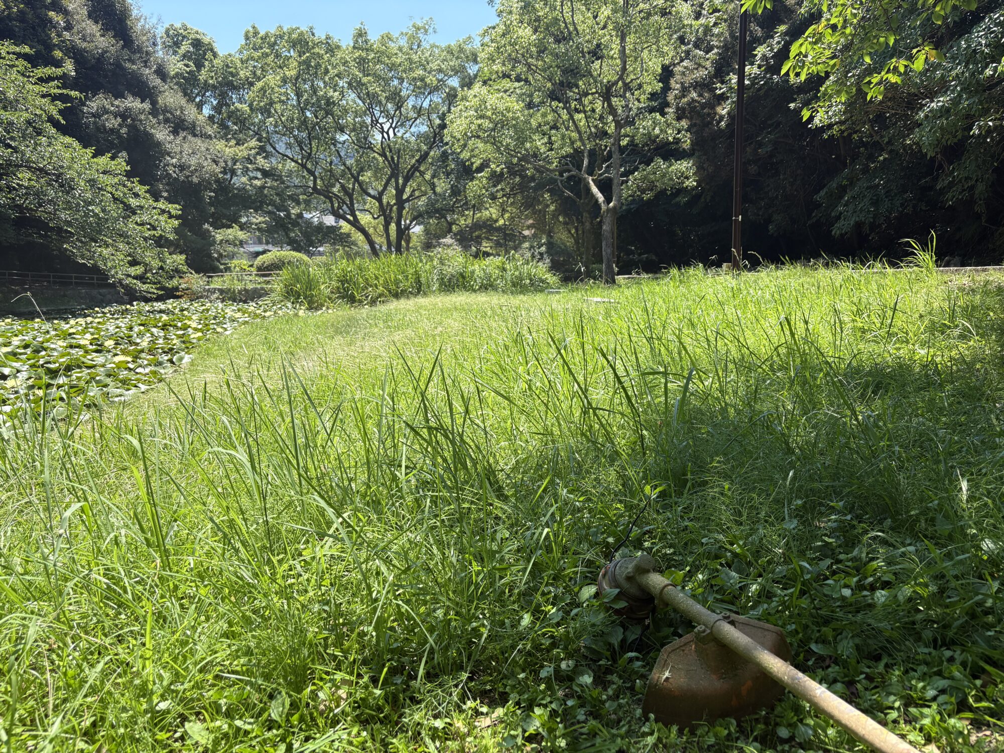 Title: もうすぐ夏休み🍉 | Press-146 | Image No.10 | 公園管理共同事業体 三和土 | タタキ | 山口県下関市都市公園管理 | 有限会社 浜田造園 | 有限会社 規周園 | 株式会社 造園 堀