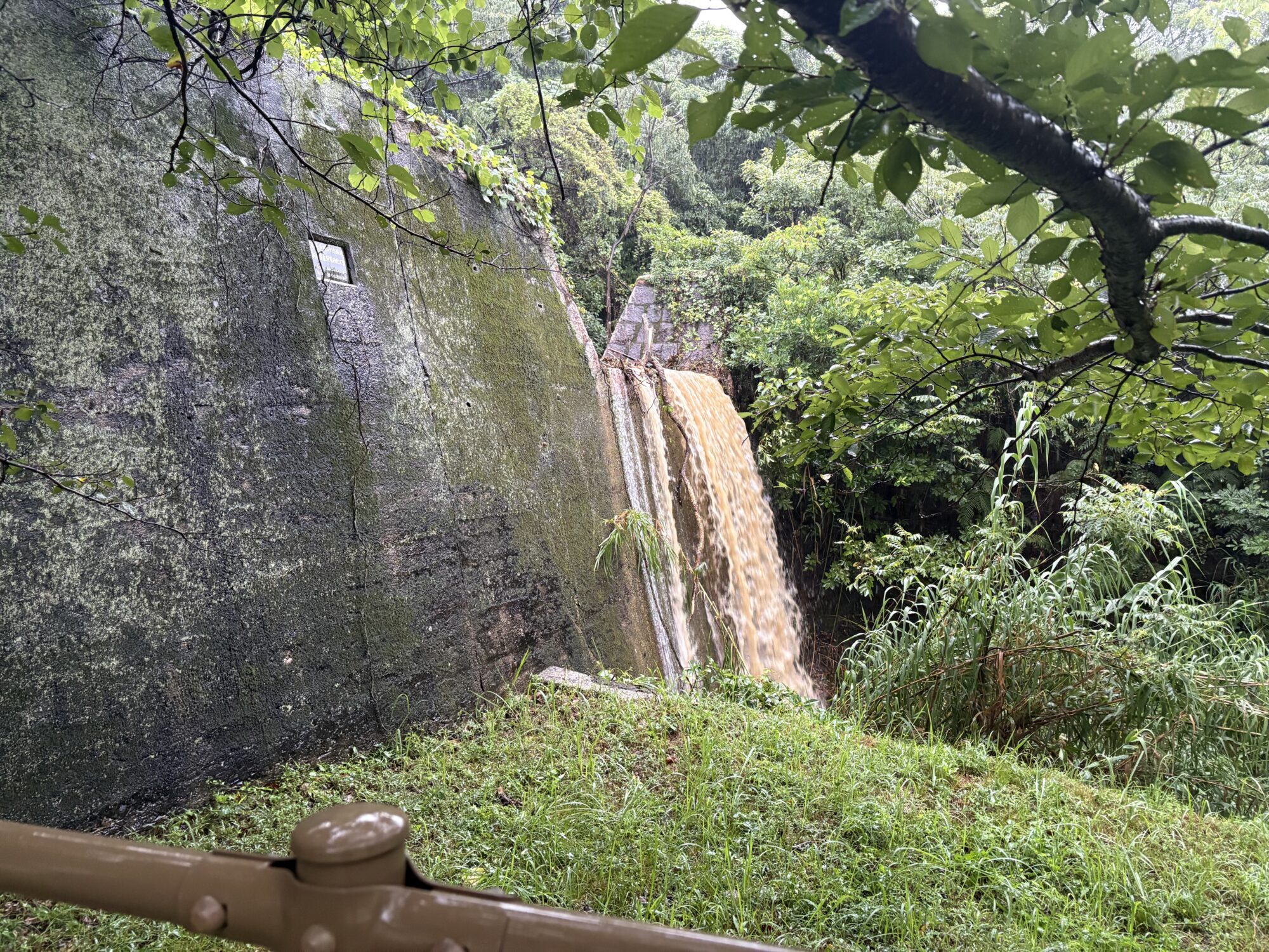 Title: ☔️記録的短時間大雨情報☔️ | Press-271 | Image No.3 | 有限会社 浜田造園 | 造園土木・公共工事 | 植栽工事・設計・施工 | 庭園、緑地、公共施設の管理育成 | 造園資材販売 | 山口県下関市