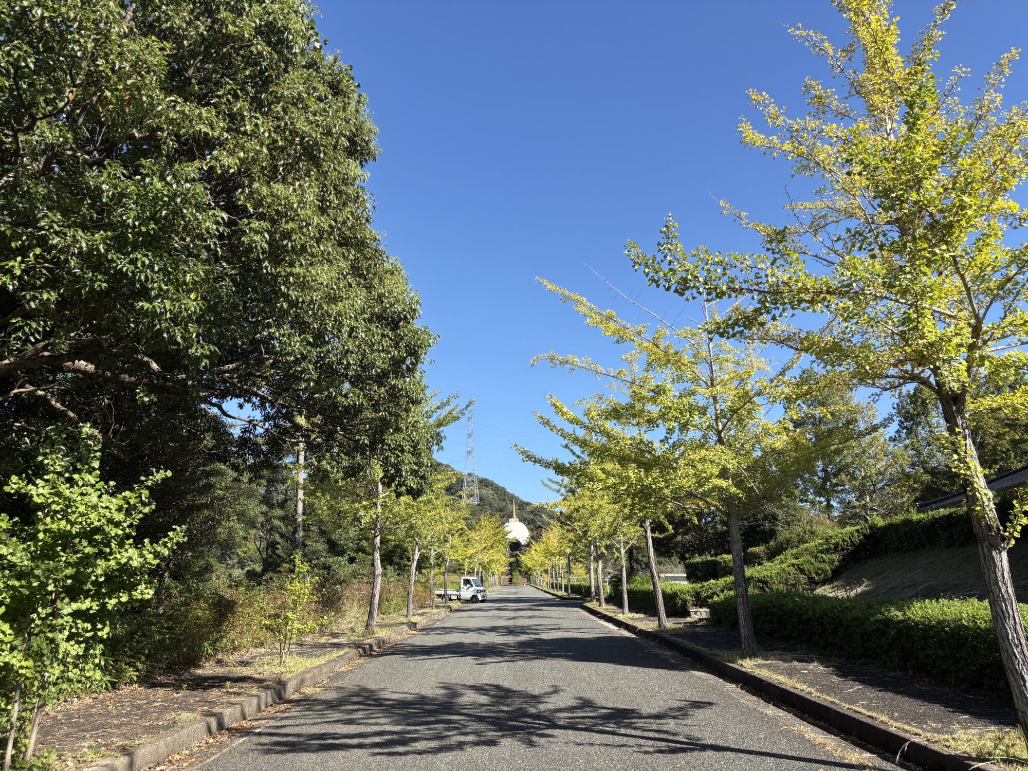 Title: すっかり秋🍁 | Press-153 | Image No.2 | 公園管理共同事業体 三和土 | タタキ | 山口県下関市都市公園管理 | 有限会社 浜田造園 | 有限会社 規周園 | 株式会社 造園 堀