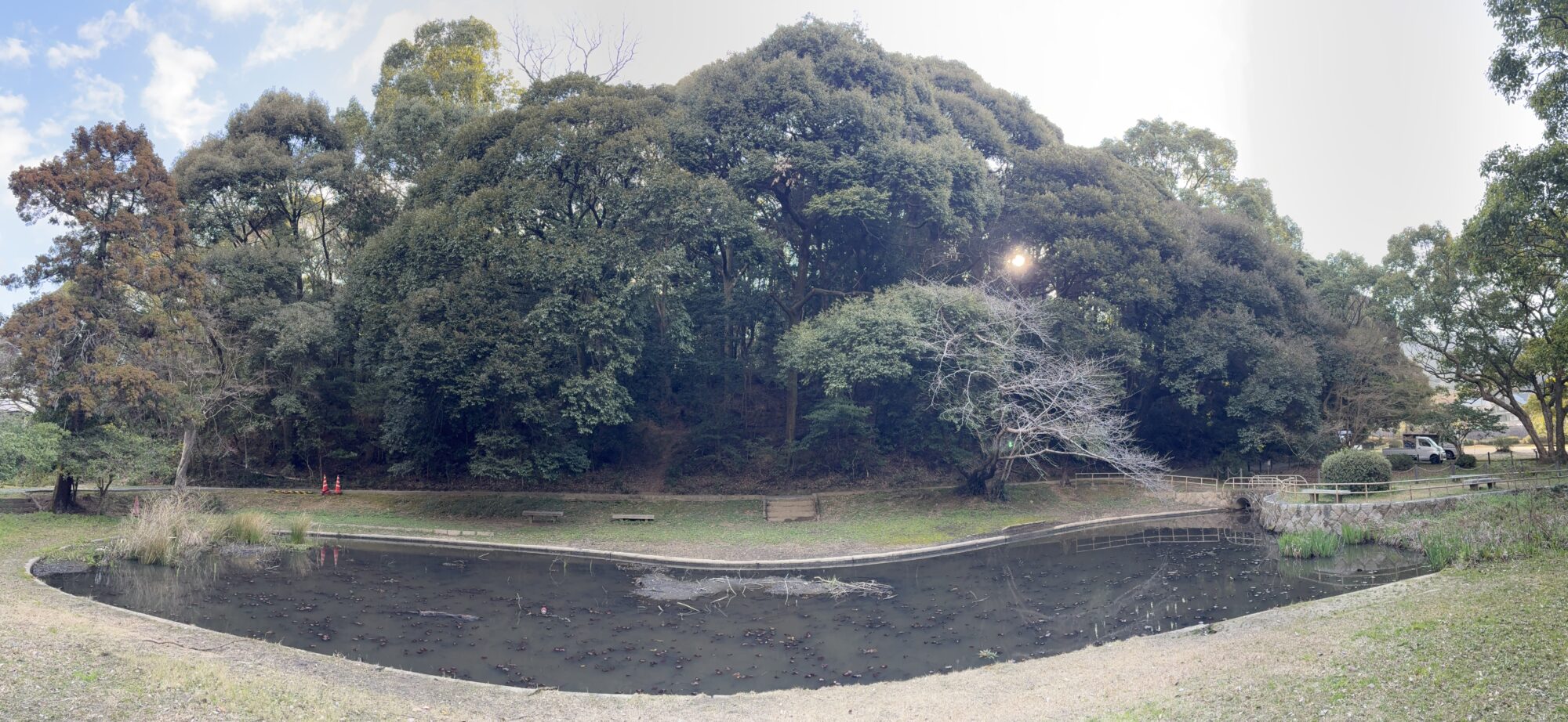 Title: 枝降ろし剪定🌳 | Press-282 | Image No.1 | 有限会社 浜田造園