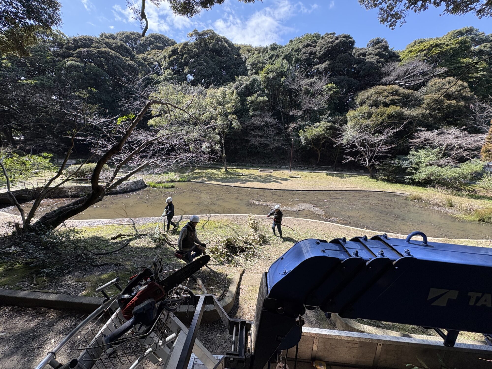 Title: 枝降ろし剪定🌳 | Press-282 | Image No.10 | 有限会社 浜田造園