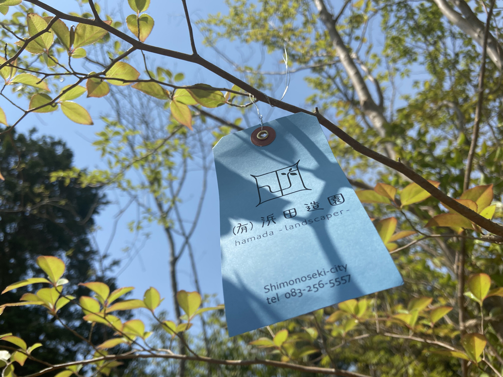 施工への想い 15 | 有限会社 浜田造園 | 山口県下関市の造園業 | 庭木植木販売 | 植栽 | 石造