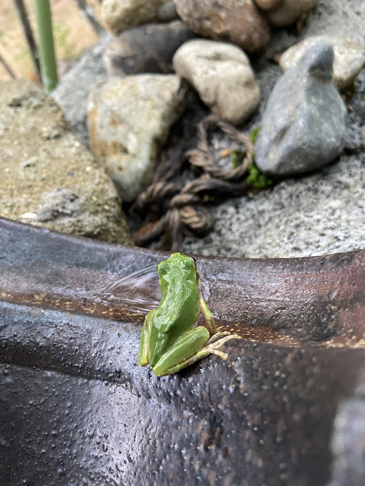 施工への想い 22 | 有限会社 浜田造園 | 山口県下関市の造園業 | 庭木植木販売 | 植栽 | 石造