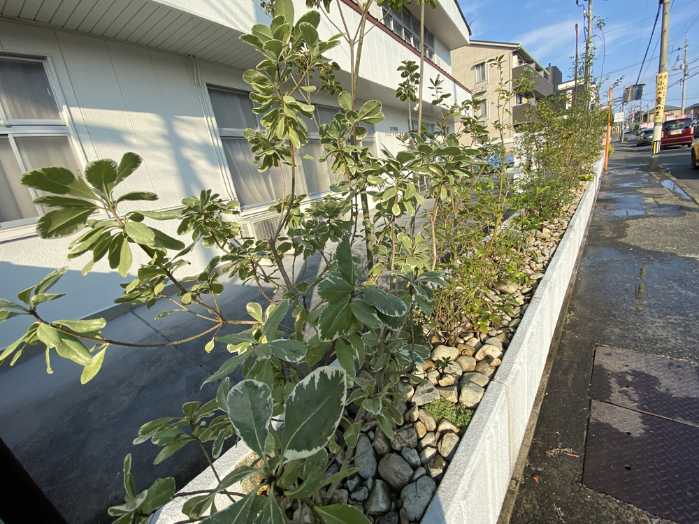 施工への想い 23 | 有限会社 浜田造園 | 山口県下関市の造園業 | 庭木植木販売 | 植栽 | 石造
