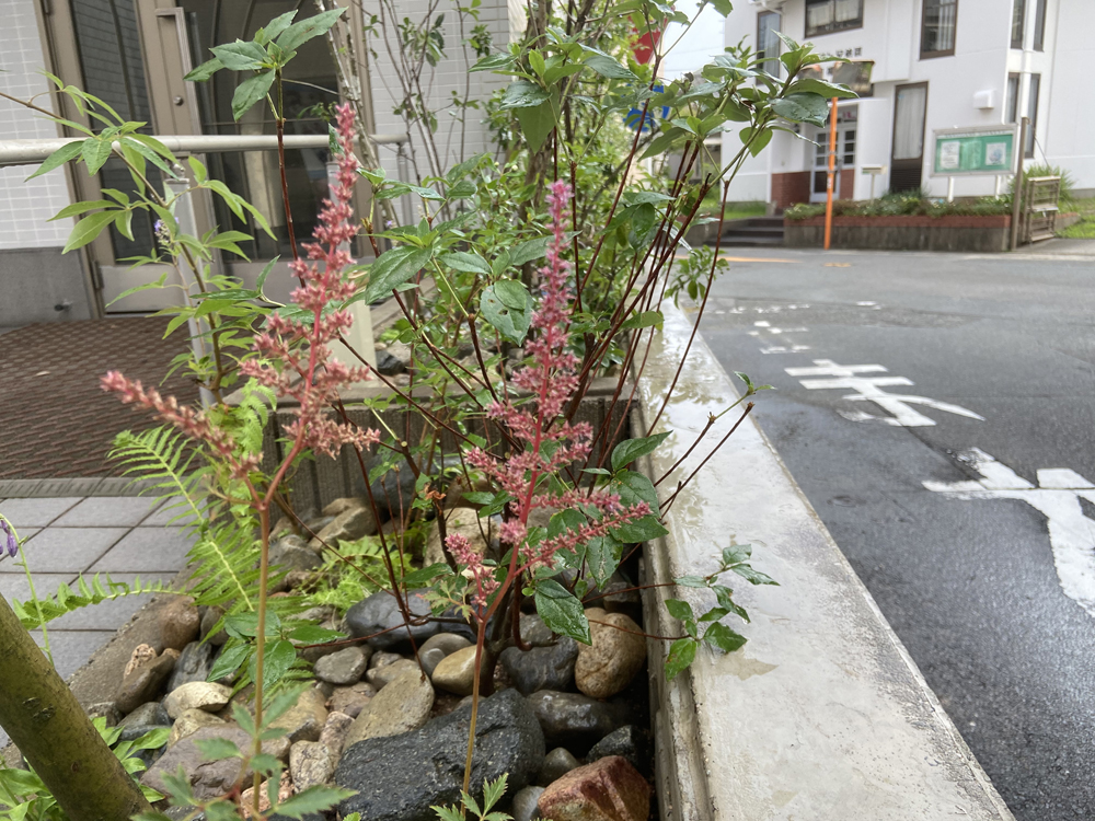 施工への想い 07 | 有限会社 浜田造園 | 山口県下関市の造園業 | 庭木植木販売 | 植栽 | 石造