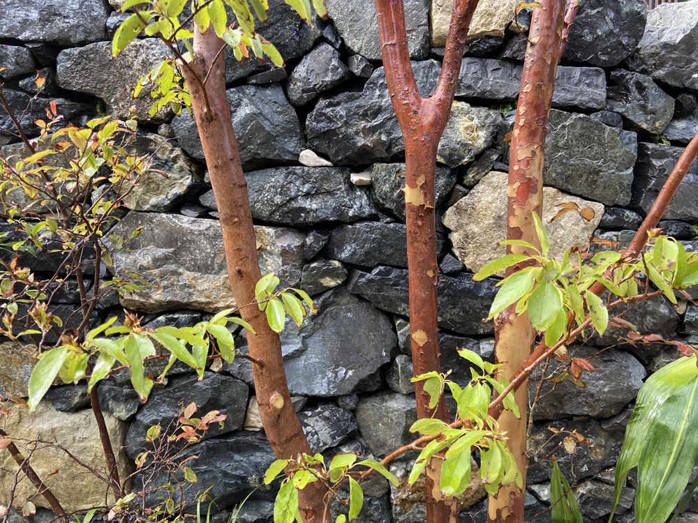 施工への想い 08 | 有限会社 浜田造園 | 山口県下関市の造園業 | 庭木植木販売 | 植栽 | 石造