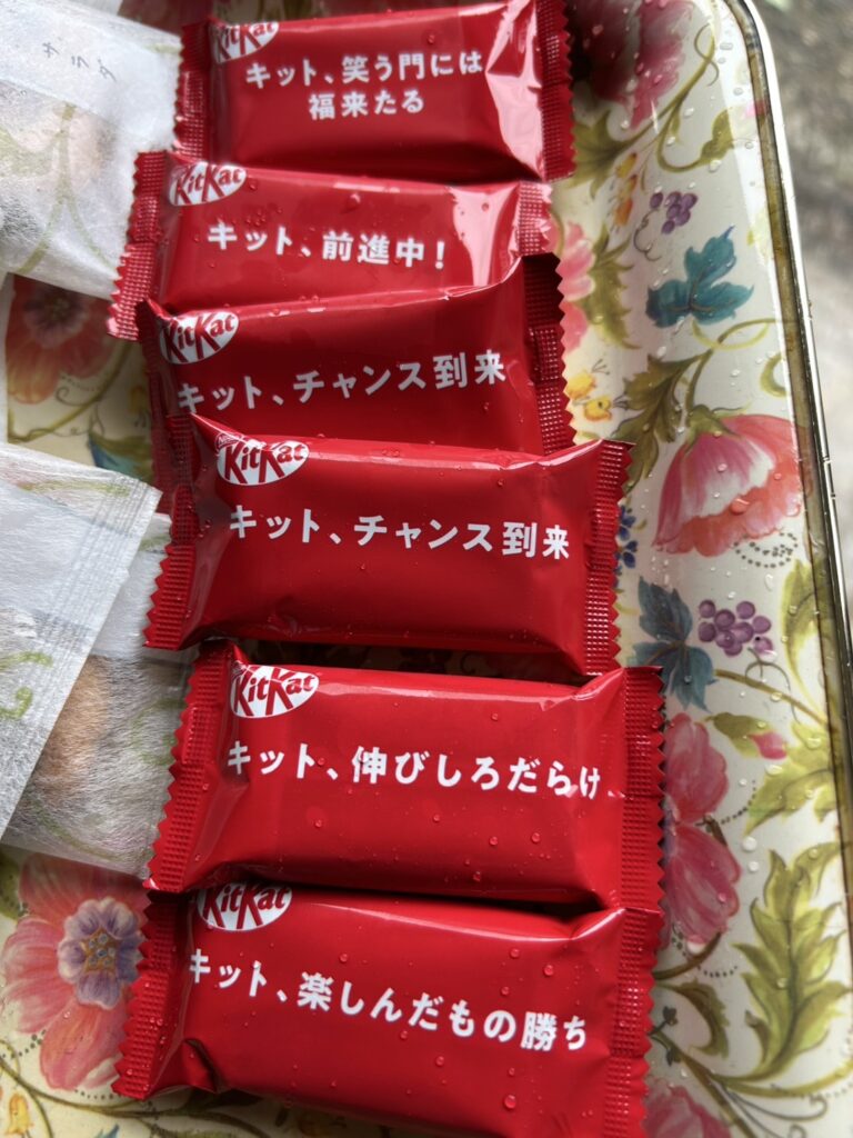 Title: 青春の味 | Press-269 | Image No.7 | 有限会社 浜田造園 | 造園土木・公共工事 | 植栽工事・設計・施工 | 庭園、緑地、公共施設の管理育成 | 造園資材販売 | 山口県下関市
