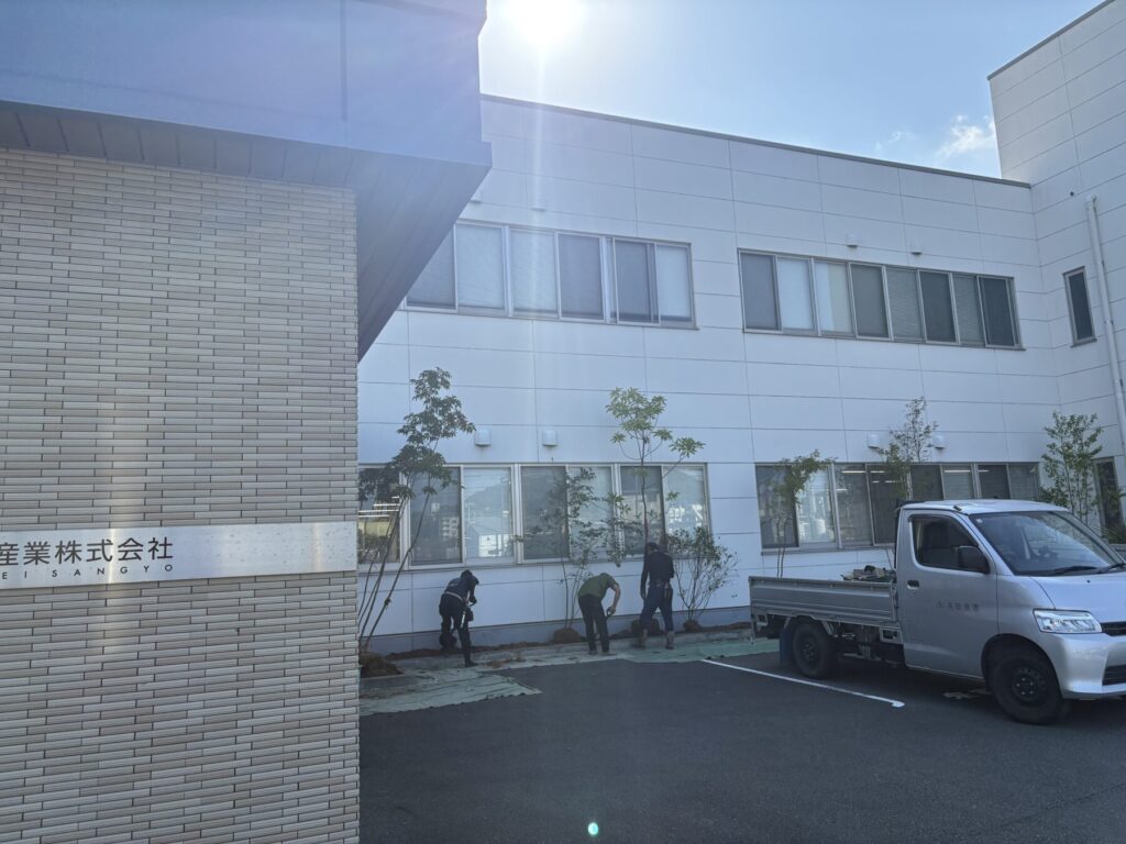 Title: 企業様社屋の花壇植栽です🌱 | Press-277 | Image No.6 | 有限会社 浜田造園 | 造園土木・公共工事 | 植栽工事・設計・施工 | 庭園、緑地、公共施設の管理育成 | 造園資材販売 | 山口県下関市