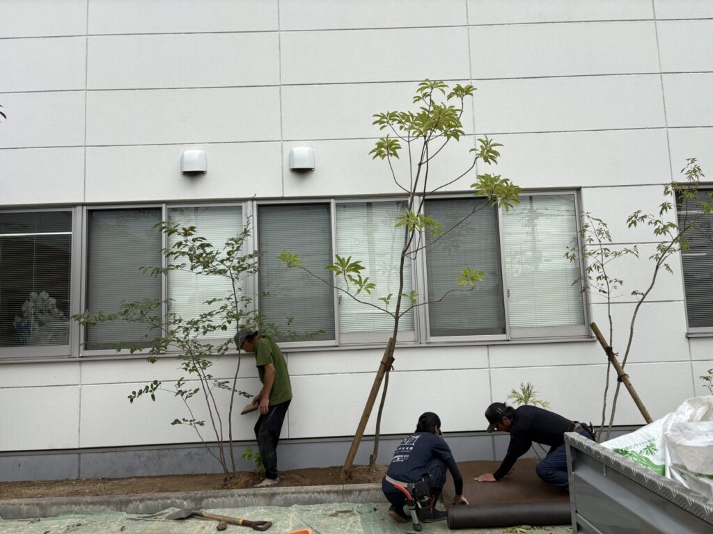 Title: 企業様社屋の花壇植栽です🌱 | Press-277 | Image No.5 | 有限会社 浜田造園 | 造園土木・公共工事 | 植栽工事・設計・施工 | 庭園、緑地、公共施設の管理育成 | 造園資材販売 | 山口県下関市