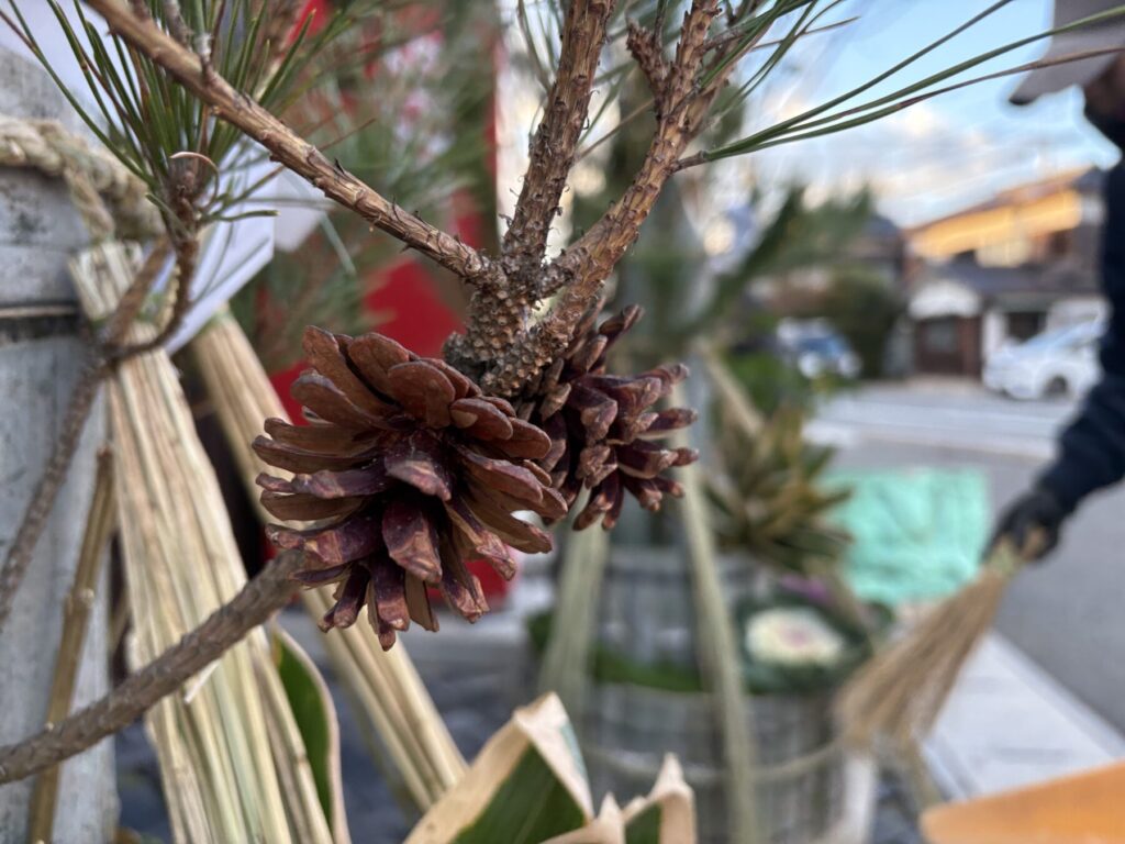 Title: 2025「完」🍊 | Press-279 | Image No.3 | 有限会社 浜田造園 | 造園土木・公共工事 | 植栽工事・設計・施工 | 庭園、緑地、公共施設の管理育成 | 造園資材販売 | 山口県下関市