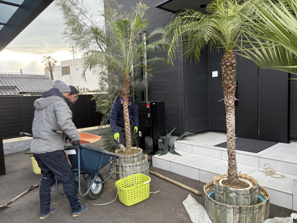 Title: 2025「完」🍊 | Press-279 | Image No.5 | 有限会社 浜田造園 | 造園土木・公共工事 | 植栽工事・設計・施工 | 庭園、緑地、公共施設の管理育成 | 造園資材販売 | 山口県下関市