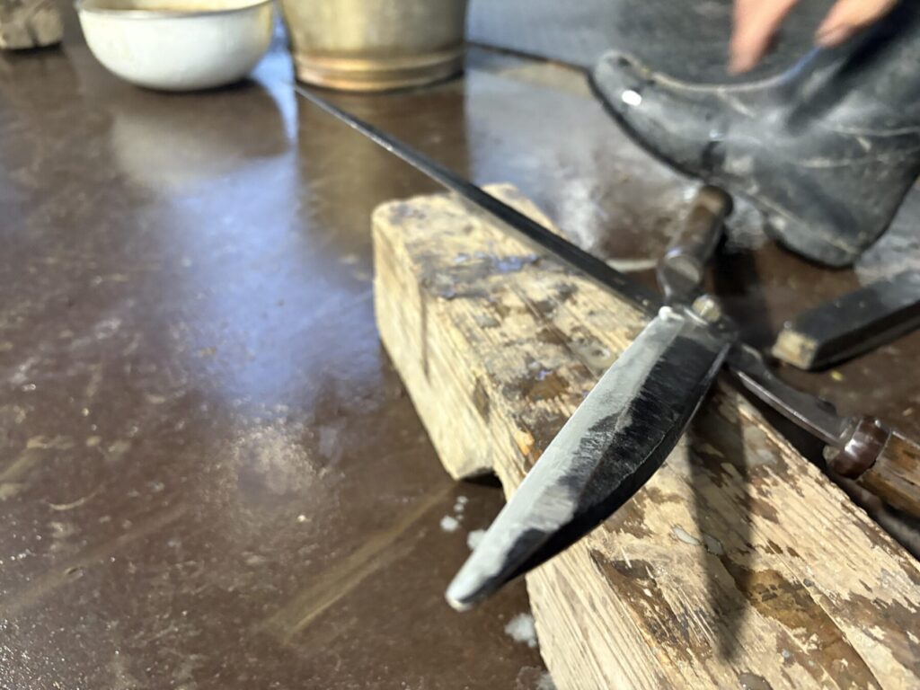 Title: 2025「完」🍊 | Press-279 | Image No.13 | 有限会社 浜田造園 | 造園土木・公共工事 | 植栽工事・設計・施工 | 庭園、緑地、公共施設の管理育成 | 造園資材販売 | 山口県下関市